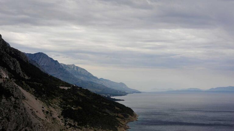 What To Do If You Forget Your Cricbet99 Password?